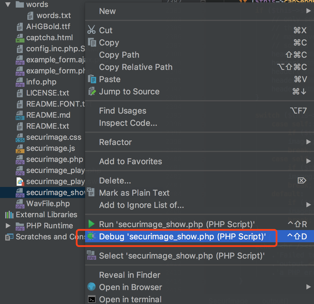 direct debug the php file.png